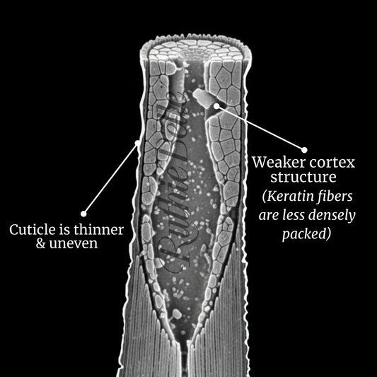 Kako serumi za trepalnice vplivajo na vihanje trepalnic?